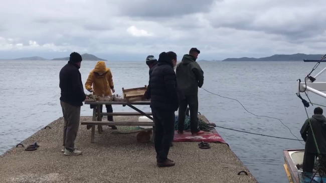 2 bin 400 yapay resif Marmara Adaları’nda denize bırakılacak